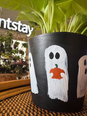 plantstay.jpg