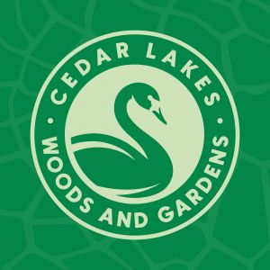 cedar.jpg