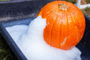 pumpkin.jpg