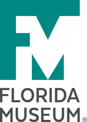 florida_museum.png