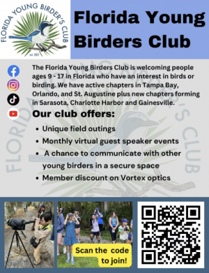 Screenshot 2026-02-03 110857.png