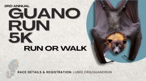 Guano.jpg