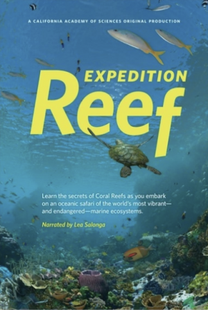 Screenshot 2026-03-26 152226.png