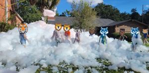 foam.jpg
