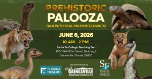 palooza.jpg