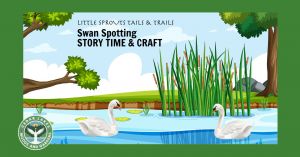 swan.jpg
