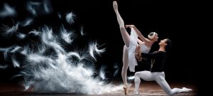 dancealive-swan-1292x584-1.jpg