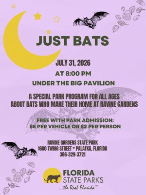 bats.jpg