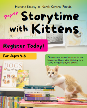 Storytime with Kittens