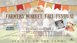 palfallfestival.jpg
