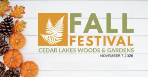 fallfest.jpg