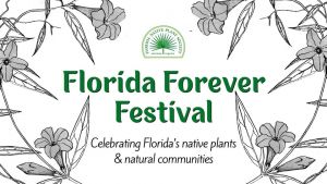 floridaforver.jpg