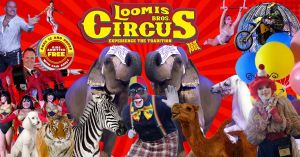 loomis.jpg