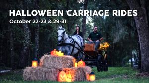 carriage.jpg