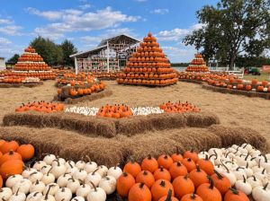 Branford Farm Stand.jpg