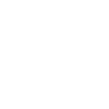 Holiday Lights and Displays