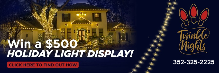 Twinkle Nights Holiday Lights Giveaway! 