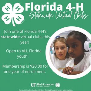 Florida 4H Statewide Virtual Clubs