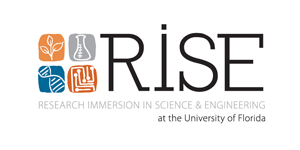 Research Immersion in Science and Engineering