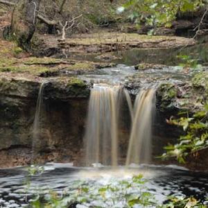 White Springs - Falling Creek Falls