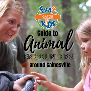 Animal Encounters