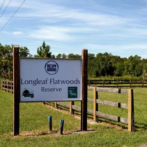 Longleaf Flatwoods Reserve