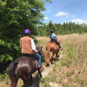 Canopy Oak Trails Trail Rides