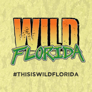 Orlando - Wild Florida