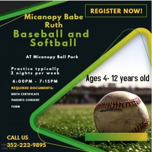 Micanopy Babe Ruth Baseball and Softball