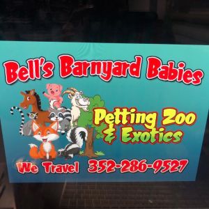 Bell's Barnyard Babies Petting Zoo and Exotics