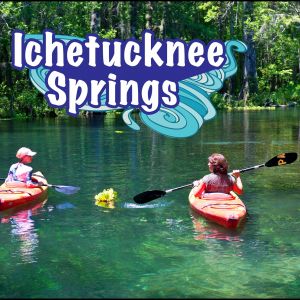 Ichetucknee Springs State Park Tube & Watersports at Paddling Adventures