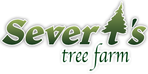 Severt's Christmas Tree Farm Lots