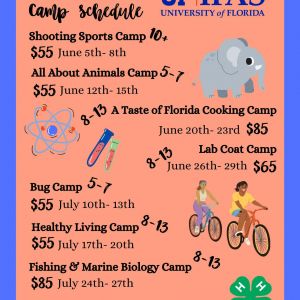 UF IFAS Extension Levy County 4-H Summer Day Camps