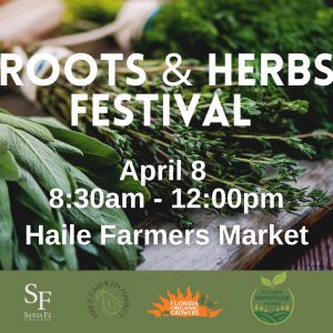 Florida Organic Growers and Sante Fe College: Roots and Herbs Festival