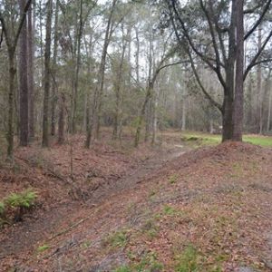 Flatwoods Conservation Area