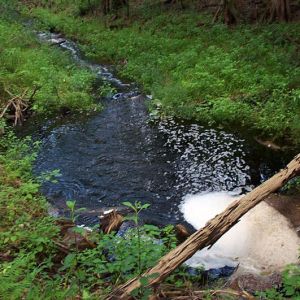 Mill Creek Nature Preserve