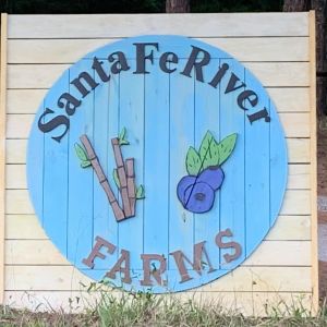 Santa Fe River Farms Blueberries