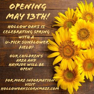 Hollow Oaks Spring Extravaganza