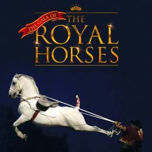 Gala of the Royal Horses