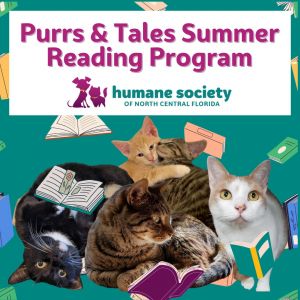 Humane Society of North Central Florida Purrs & Tales- Summer Reading Program