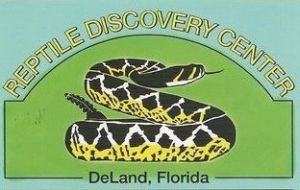 Daytona - Reptile Discovery Center