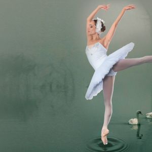 Dance Alive National Ballet presents Swan Lake