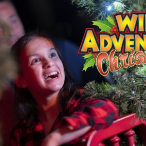 Wild Adventures Christmas