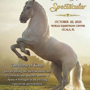 Iberian Horse Spectacular