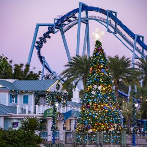 SeaWorld Christmas Celebration