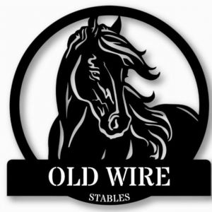 Old Wire Stables Winter Break Horse Camp