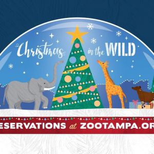 ZooTampa at Lowry Park Christmas in the Wild