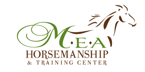 Madonna's Equestrian Academy Thanksgiving Break Camp