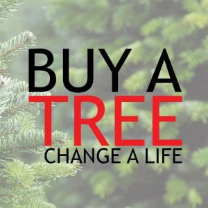 Buy a Tree, Change a Life Christmas Trees