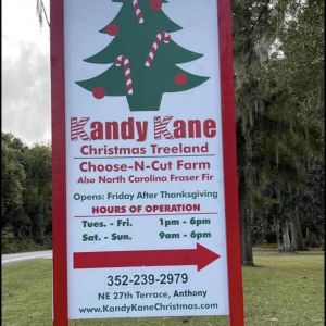 Kandy Kane Christmas Treeland